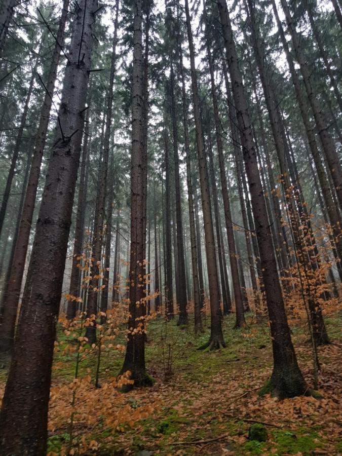 Horska Chata V Srdci Kremnickych Hor Banska Bystrica Luaran gambar