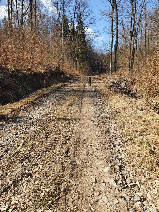 Horska Chata V Srdci Kremnickych Hor Banska Bystrica Luaran gambar