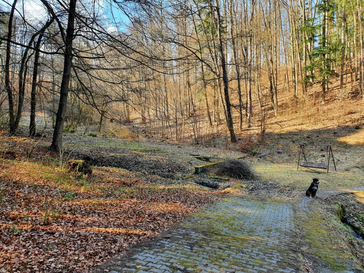 Horska Chata V Srdci Kremnickych Hor Banska Bystrica Luaran gambar